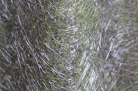 Hillhead Of Mountblairy fibreglass roof work